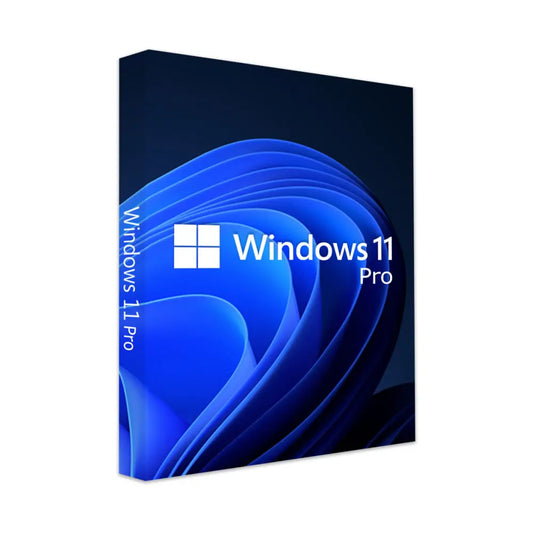 Windows 11 Pro